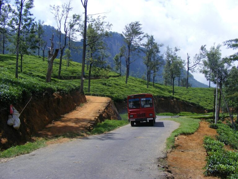 Addressing Accessibility Challenges for People with Disabilities in Connected Cars: Betbhai9 sign up, Playexchange login, Lotus365 vip login