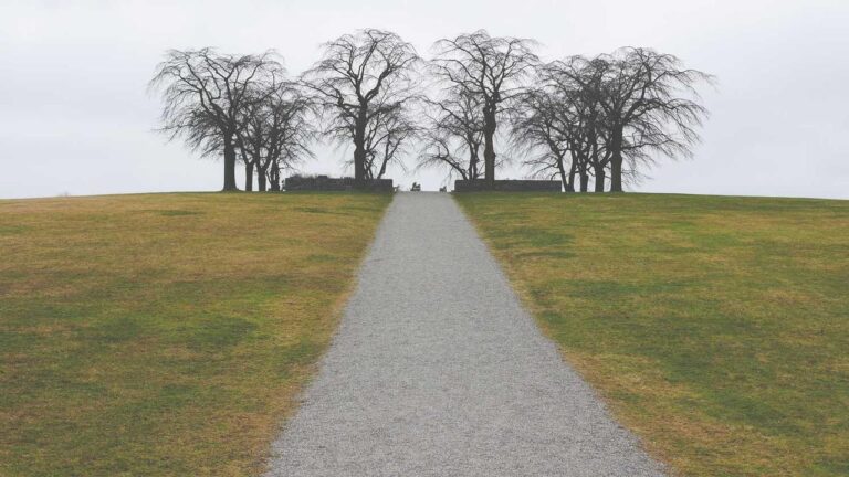 How Do Users Register On Cricbet 99 Com Portal?